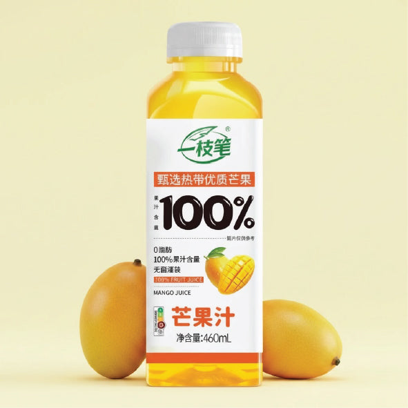 100% Mango Juice - 460ml (Full Carton)
