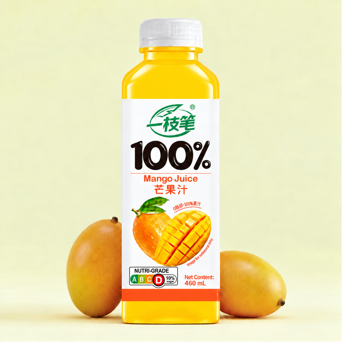 100% Mango Juice - 460ml (Full Carton)